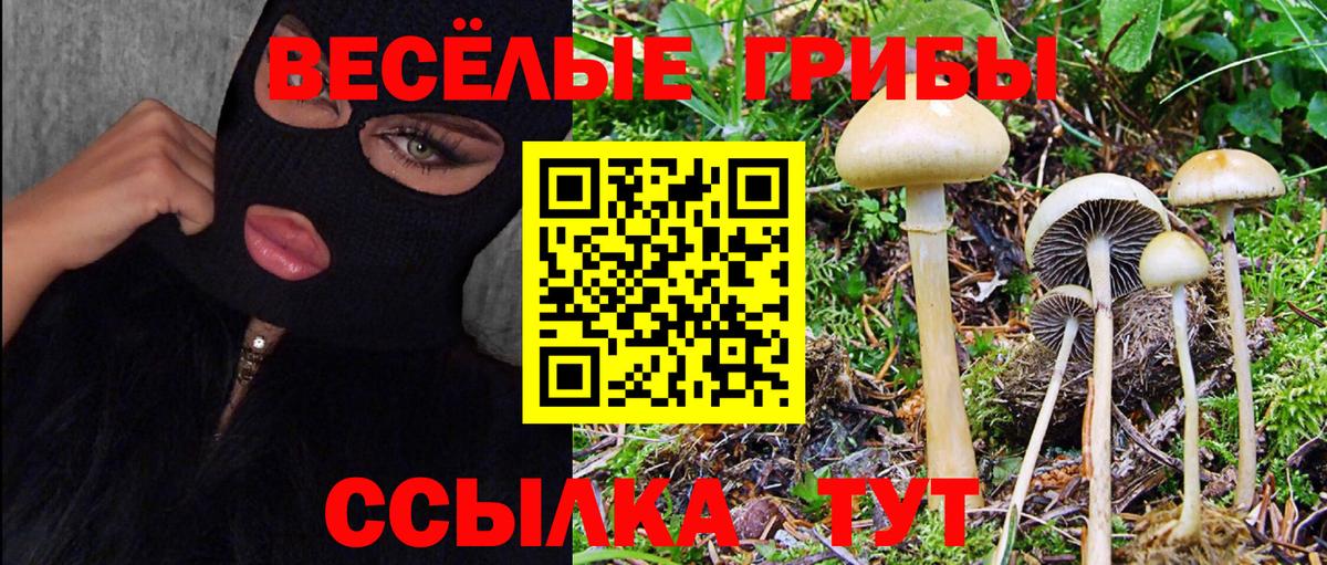 Псилоцибиновые грибы MAGIC MUSHROOMS  Вход с VPN  Урай 